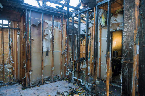 Professional Fire Damage Removal technician working in Trumansburg, NY